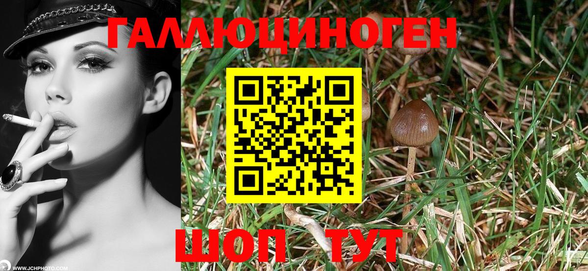 Губкин  Псилоцибиновые грибы ЛСД  Вход с VPN 